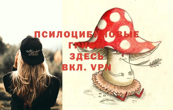 прущие крисы Рославль